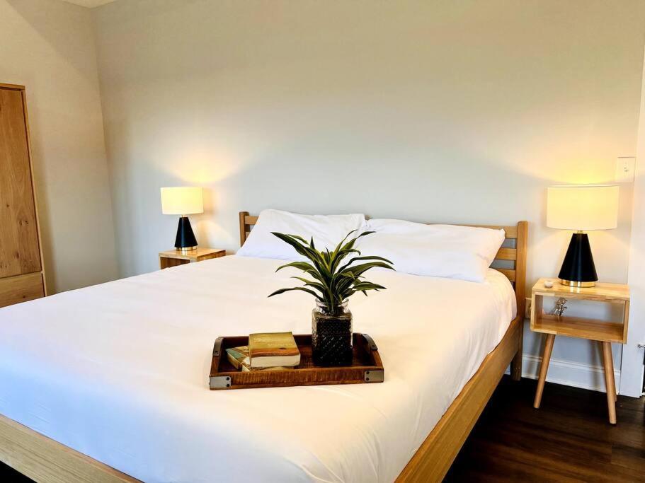 Riverside House 阿什维尔 外观 照片